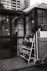 Untitled-21