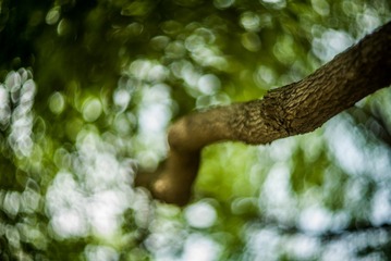 L1006110