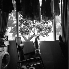 Untitled-6