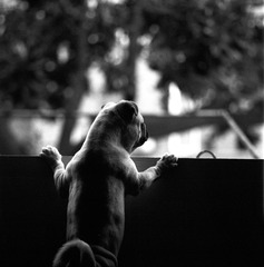 Untitled-8