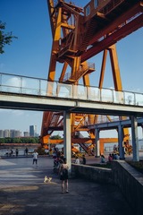 L1000238