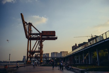 L1000242