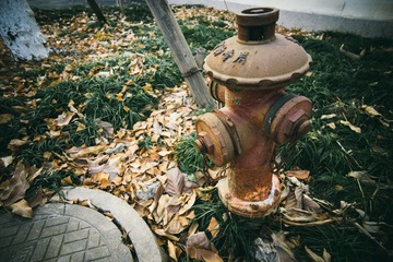 _DSC0601