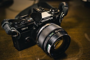 _DSC0784