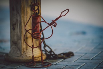 _DSC0841