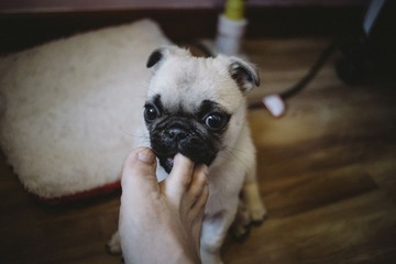_DSC0920