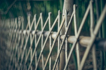 _DSC1197