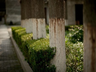 CF029190
