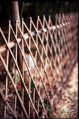 Untitled-18
