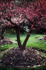 Untitled-21