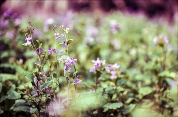 Untitled-1