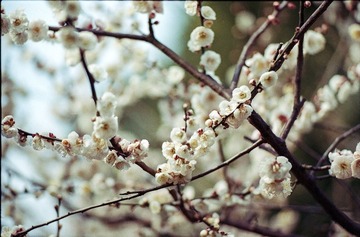 Untitled-2