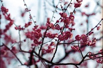Untitled-3