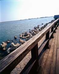 Untitled-4