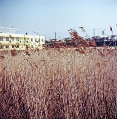 Untitled-4