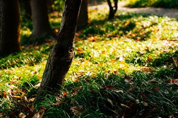 _DSC1607-2