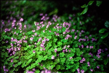 Untitled-9