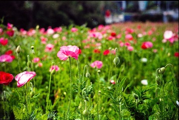 Untitled-15