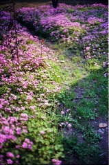 Untitled-9