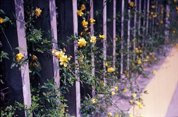 Untitled-15