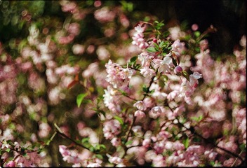 Untitled-2
