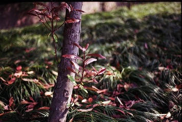 Untitled-19