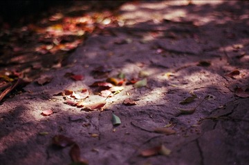Untitled-21
