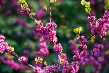 Untitled-22