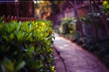 Untitled-23