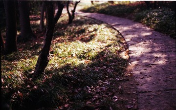Untitled-24