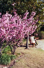 Untitled-27