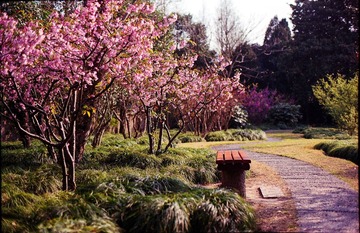 Untitled-29
