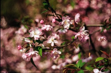 Untitled-15