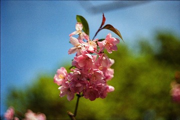 Untitled-16
