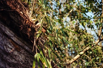 Untitled-18