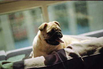 Untitled-19