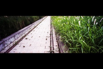 Untitled-2