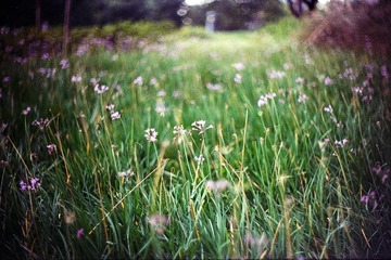 Untitled-71