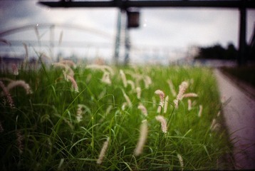 Untitled-85