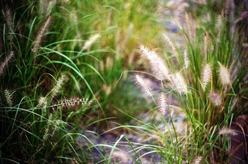 Untitled-86