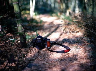Untitled-53