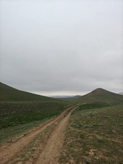 1000037226