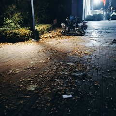 1000023596