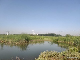 1454961