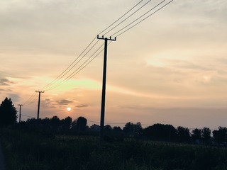 1000006141