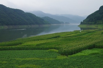 IMGP2640.JPG