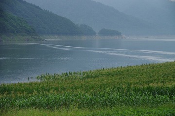 IMGP2643.JPG