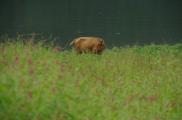 IMGP2645.JPG
