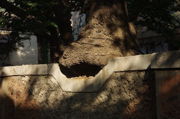 IMGP2913.JPG