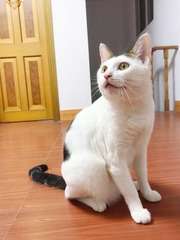 001
